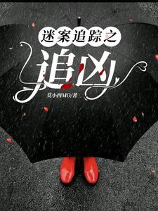 迷案追踪小说中谁杀害的宋刑警